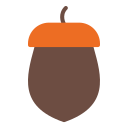 Acorn