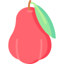장미 사과