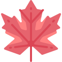 Maple leaf