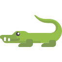 crocodile