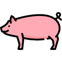 schwein