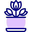 Растения