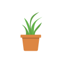 Растение