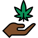 marijuana