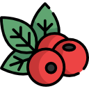 beeren