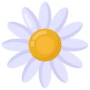 Daisy icon