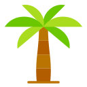 Кокосовая пальма