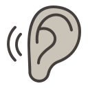 ucho