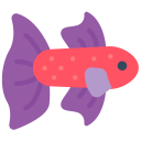 베타 물고기