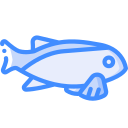 魚