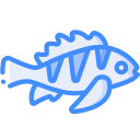 魚