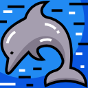 Dolphin