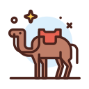 kameel