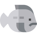 peixe-lapa