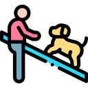 addestramento del cane