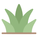 plantas domésticas