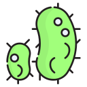 박테리아