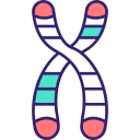 cromossoma Ícone
