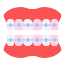 ortodontista