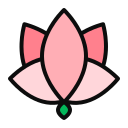 Lotus flower