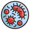bakterien