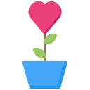planta