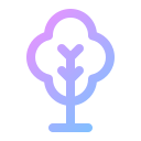 baum