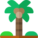 albero di cocco