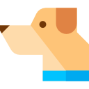 cão