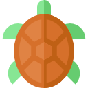 tortuga