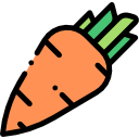 zanahoria