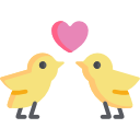 pássaros do amor
