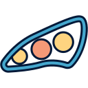 Car light
