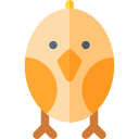 uccello