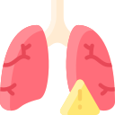 Lungs