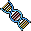 Dna structure