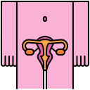 생식 기관