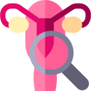 Uterus