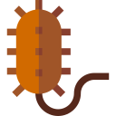 prokaryotisch