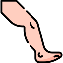 Leg