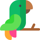 Parrot