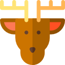 jeleń