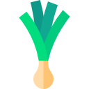 Leek