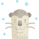 Тюлень