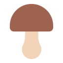 champignon