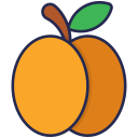prugna