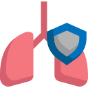 pulmones