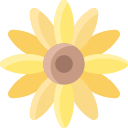 tournesol