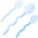 spermes
