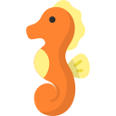 Seahorse 